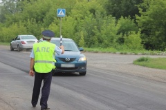 в Смоленском районе сотрудники Госавтоинспекции проведут "сплошные проверки" транспорта - фото - 1