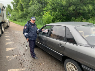 «за АВТОТРЕЗВОСТЬ» под таким девизом прошла акция в Смоленском районе - фото - 2