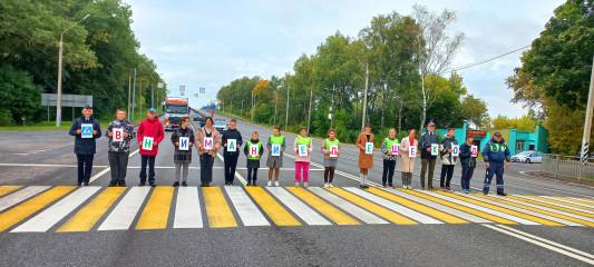 в Смоленском районе автоинспекторы организовали акция «Внимание, пешеход!!!» - фото - 4