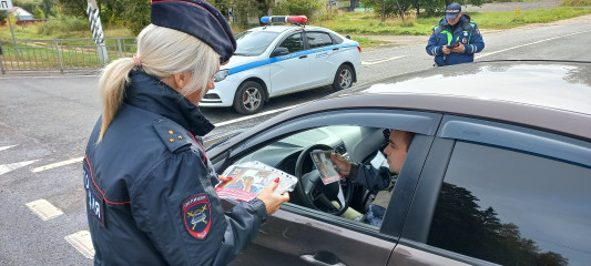 в Смоленском районе сотрудники Госавтоинспекции провели акцию «Не пей за рулем» - фото - 4