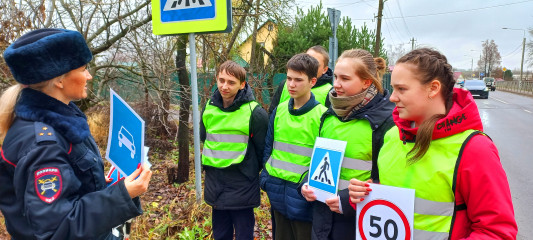 в Смоленском районе сотрудники Госавтоинспекции провели акцию "Юный пешеход!" - фото - 4