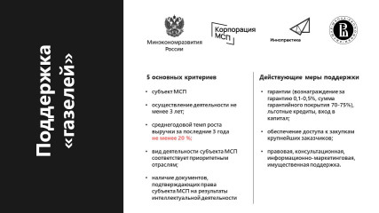 поддержка инновационных, высокотехнологичных субъектов МСП («газелей») - фото - 1