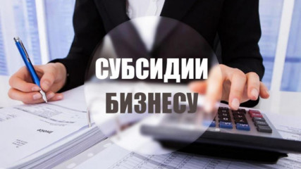 предоставление субсидий субъектам МСП, заключившим договор (договоры) лизинга оборудования - фото - 1