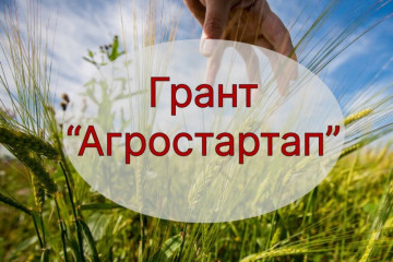 жители Смоленской области могут получить грант «Агростартап» на запуск или развитие своего хозяйства - фото - 1