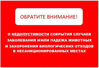администрация Смоленского муниципального округа обращает внимание жителей - фото - 1