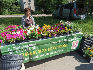 в Печерске прошла очередная ярмарка выходного дня - фото - 15