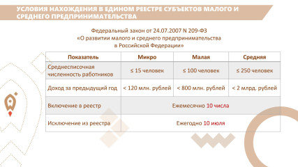 важная информация о реестре субъектов МСП - фото - 4