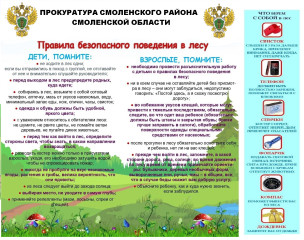 памятка "Правила безопасного поведения в лесу" - 1 памятка "Правила безопасного поведения в лесу" - фото - 1