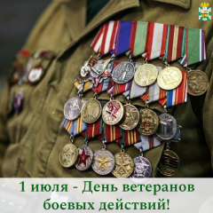 поздравление Главы Смоленского муниципального округа Ольги Павлюченковой с Днем ветеранов боевых действий - фото - 1