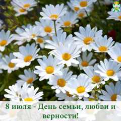 поздравление Главы Смоленского муниципального округа Ольги Павлюченковой с Днём семьи, любви и верности ⁣ - фото - 1