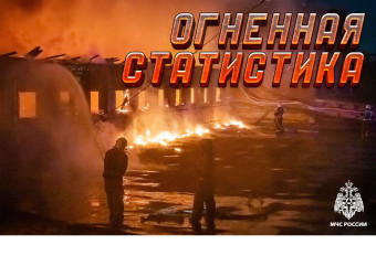 статистика пожаров и их последствия за 8 месяцев 2025 года - фото - 1