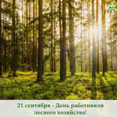 поздравление Главы Смоленского муниципального округа Ольги Павлюченковой с Днем работников лесного хозяйства - фото - 1