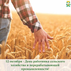 поздравление Главы Смоленского муниципального округа Ольги Павлюченковой с Днем работника сельского хозяйства и перерабатывающей промышленности - фото - 1