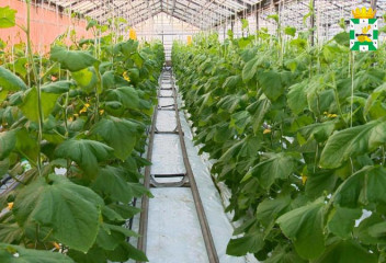 история успеха предпринимателя Смоленского округа - фото - 1