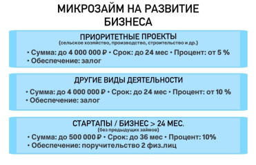 микрозаймы на развитие бизнеса - фото - 1