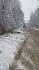 с раннего утра коммунальные службы приступили к очистке снега на автомобильных дорогах муниципального округа - фото - 9
