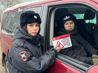 сотрудники Госавтоиснпекции провели профилактическую акцию пристегните самое дорогое и пристегнитесь сами - фото - 4