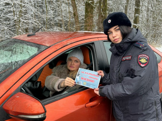 «пристегнись!» — профилактическая акция Госавтоинспекции - фото - 2