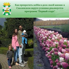 как превратить хобби в дело своей жизни - фото - 5