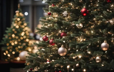 в Смоленском округе проходит смотр-конкурс на лучшее новогоднее оформление «Новый Год - 2026» - фото - 1