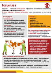 управление Роспотребнадзора по Смоленской области подготовило памятку о профилактике бруцеллеза - фото - 1