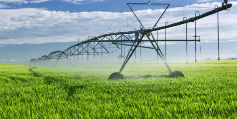 информационное сообщение о начале приема документов для предоставления в 2025 году субсидии на возмещение части затрат на проведение гидромелиоративных мероприятий - фото - 1