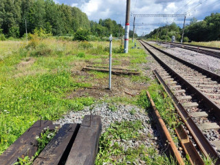 по результатам вмешательства Смоленской транспортной прокуратуры полоса отвода освобождена от отходов производства - фото - 3