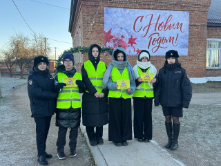 сотрудники Госавтоинспекции совместно сотрудниками ПДН провели профилактическую акцию «Новогодняя открытка» - фото - 9