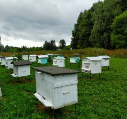 история успеха предпринимателя Смоленского округа - фото - 2