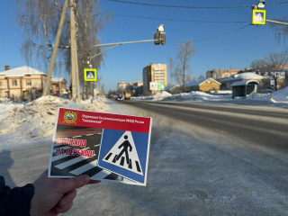 в Смоленском муниципальном округе сотрудники Госавтоинспекции провели профилактическую акцию «Пешеход на переход» - фото - 7