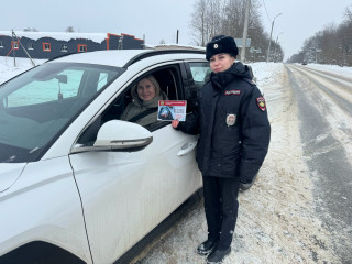 в Смоленском муниципальном округе сотрудники Госавтоинспекции провели профилактическую акцию «Соблюдай скоростной режим» - фото - 4