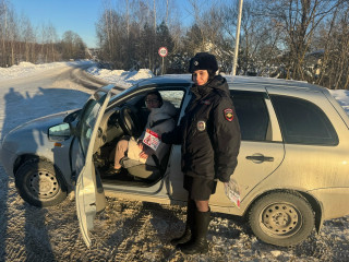 сотрудники Госавтоинспекции провели акцию «Пристегни самое дорогое» - фото - 5