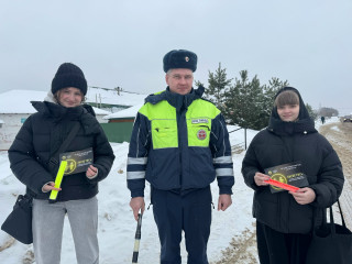 сотрудники Госавтоинспекции провели профилактическую акцию «Заметный пешеход» - фото - 7