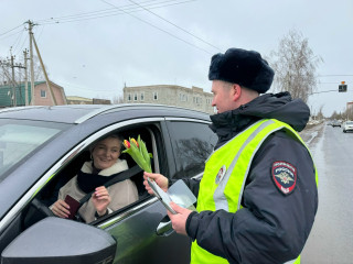 цветы для автоледи - фото - 13