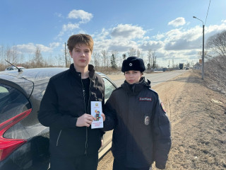 сотрудники Госавтоинспекции провели акцию «Пристегни самое дорогое» - фото - 2