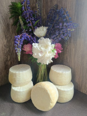 продолжаем делиться историями успеха предпринимателей Смоленского округа - фото - 1