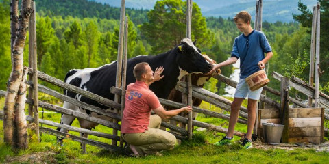 объявление о проведении конкурсного отбора проектов развития сельского туризма - фото - 1