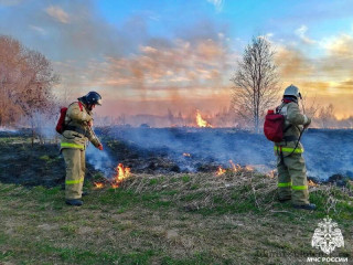 первые цифры о возгораниях сухой травы в нашем регионе вызывают серьёзные опасения - фото - 1