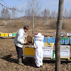 сотрудники отдела по экономике и инвестиционной деятельности посетили индивидуального предпринимателя Колесникова Даниила Андреевича - фото - 2