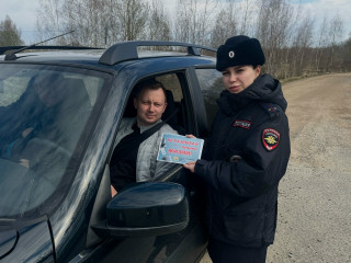 сотрудники Госавтоинспекции провели профилактическую акцию «Пристегнись!» - фото - 4