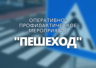 опм «Пешеход» - фото - 1