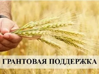 информационное сообщение о проведении отбора на предоставление грантов - фото - 1