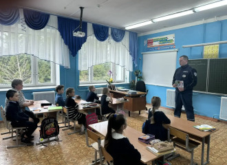 сотрудники Госавтоинспекции провели урок безопасности в Трудиловской школе - фото - 3