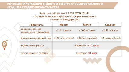 важная информация о реестре субъектов МСП - фото - 4