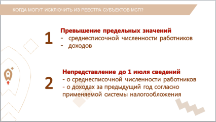 важная информация о реестре субъектов МСП - фото - 3