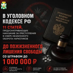 уголовная ответственность за преступления в сфере незаконного оборота наркотиков: что нужно знать - фото - 4