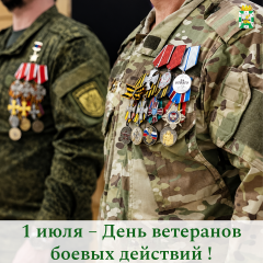 поздравление Главы Смоленского муниципального округа Ольги Павлюченковой с Днем ветеранов боевых действий - фото - 1