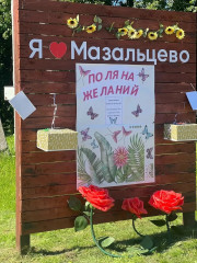 в Мазальцево с размахом отметили День деревни - фото - 9