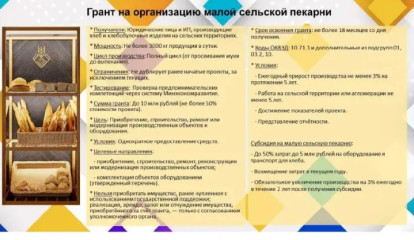 поддержка на реализацию проекта по организации малой сельской пекарни - фото - 1
