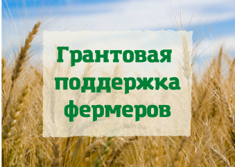 поддержка на развитие фермерского хозяйства - фото - 1